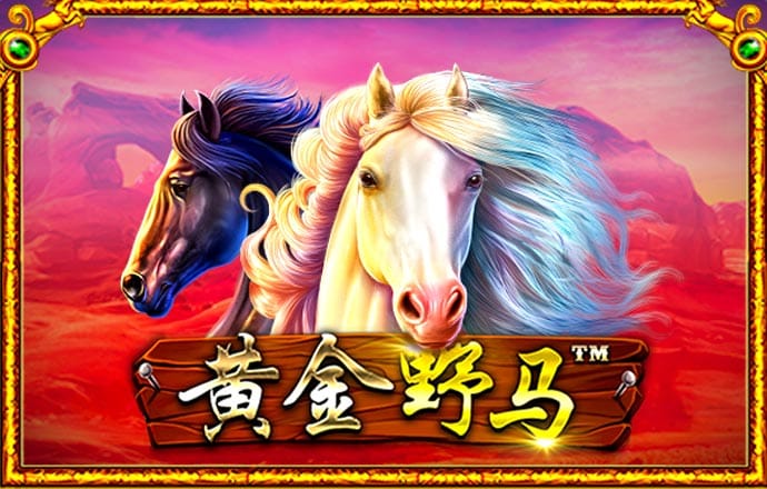 ng体育官网app下载